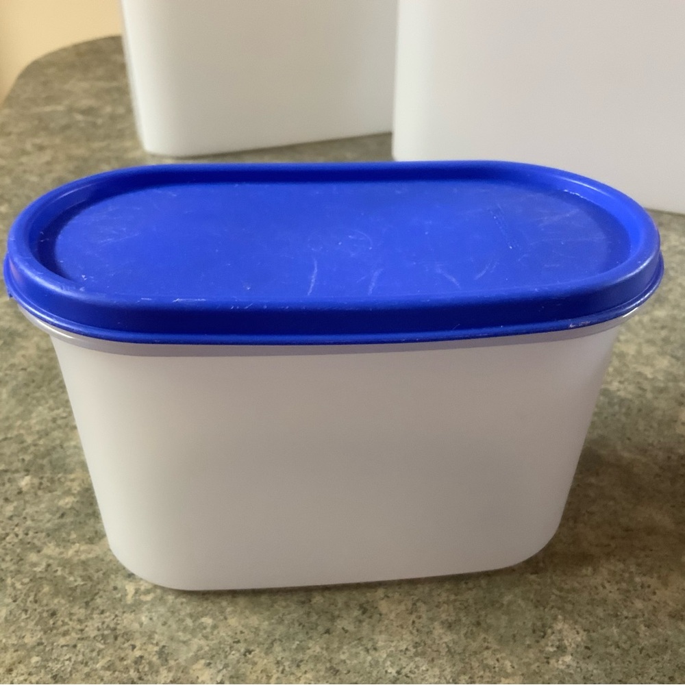 TUPPERWARE MODULAR MATES OVAL #2. Blue lid  Great Condition.  4 3/4 cup size